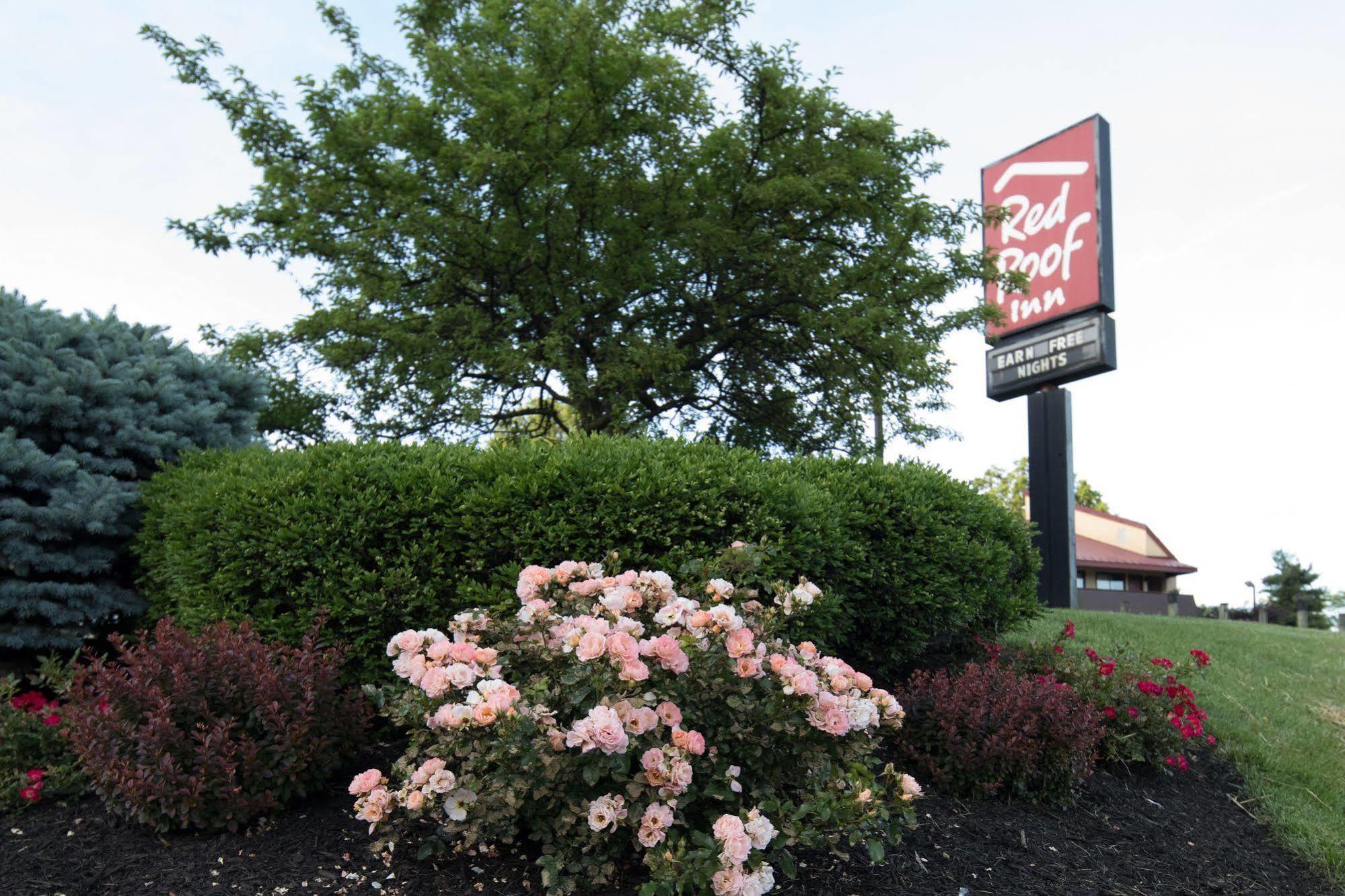Red Roof Inn Cincinnati Northeast - Blue Ash Exteriör bild
